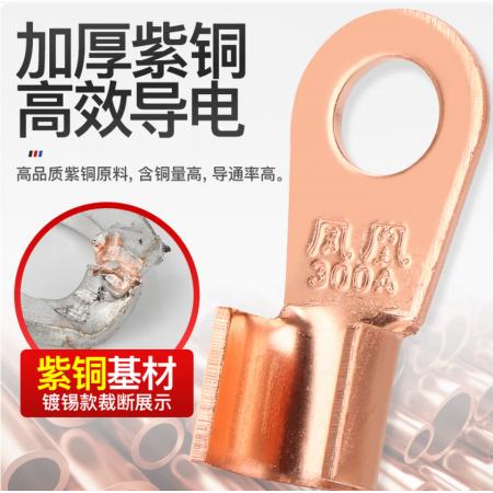 正品凤凰OT开口鼻子铜接线端子铜接头电线电缆铜线耳国标A级加厚 10A 紫铜 国标