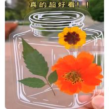 植物标本材料包	国产	大号透明60个+流苏