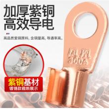 正品凤凰OT开口鼻子铜接线端子铜接头电线电缆铜线耳国标A级加厚 10A 紫铜 国标