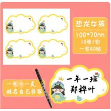 姓名贴 国产100*70恐龙女孩10张/包
