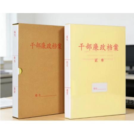 干部廉政档案盒	国产	纸质310mm*225mn*35mm